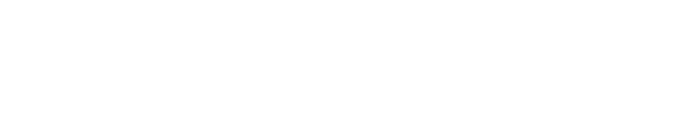 Full Logo — White