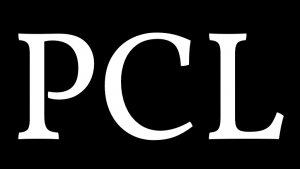 PCL - Propitious Consulting Limited